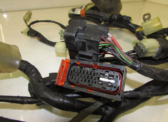 Wire Harness Honda CBF 600