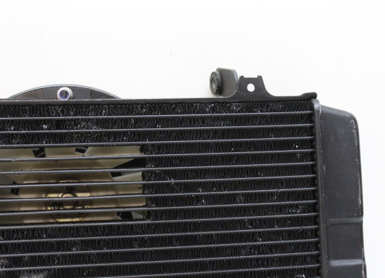 Radiateur Yamaha FZR 750 R OWO1