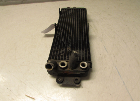 Kuhler Suzuki VX 800