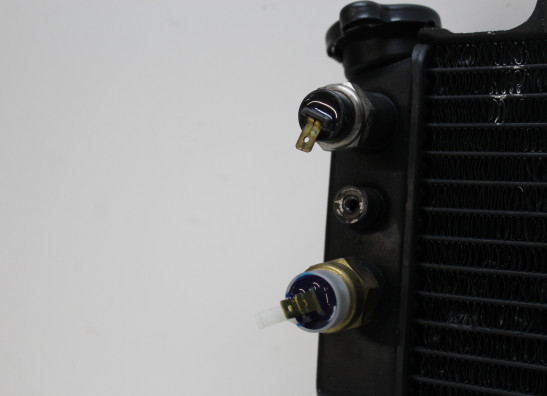 Radiateur Yamaha FZR 750 R OWO1