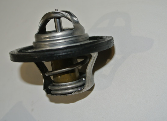 Engine parts Triumph Street Triple 675