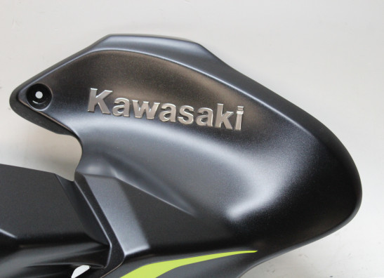Tankcover Kawasaki Z 900