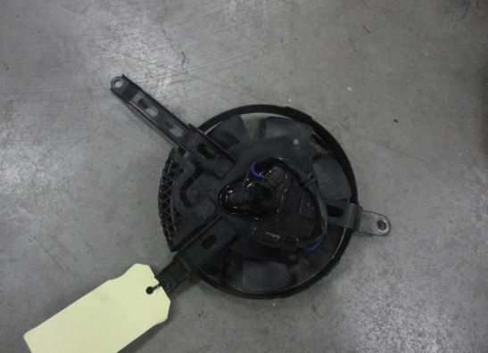 Fan Suzuki GSX R 1000