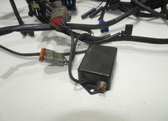 Kabelbaum Buell X1 Lightning 