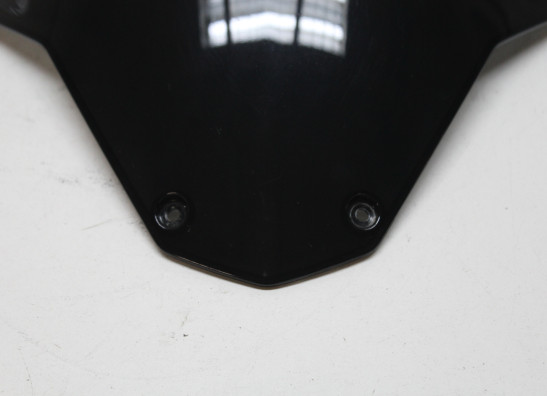 Scheibe Windschild Aprilia Tuono 660
