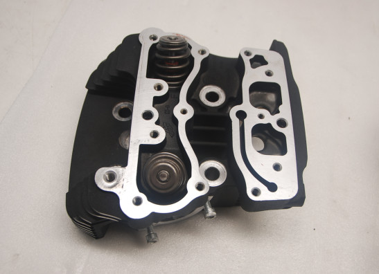 Cylinder head Harley Davidson Softtail