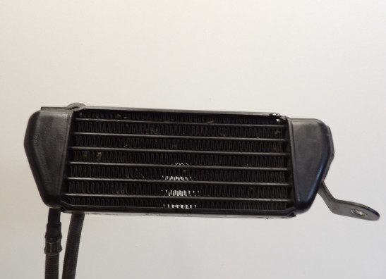 Olkuhler Triumph T509 Speed Triple