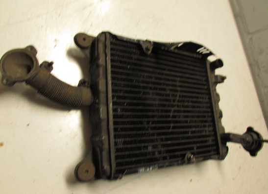 Kuhler Honda Goldwing GL