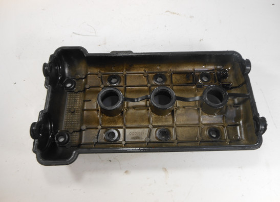 Kleppendeksel Triumph Speed Triple 955