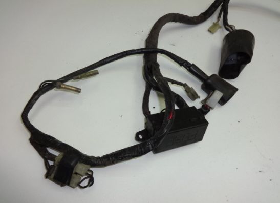 Kabelboom Yamaha TDM