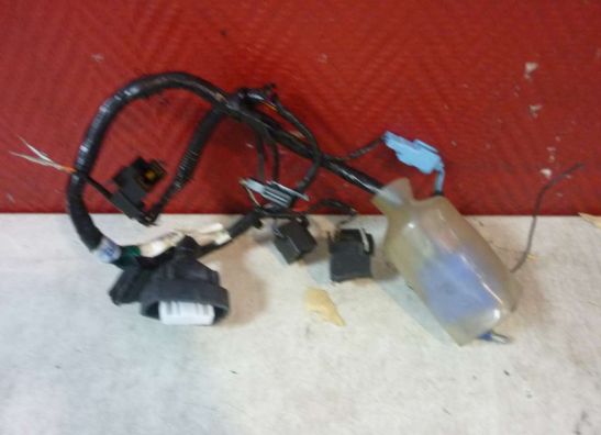 Wire harness front Honda CBR Fireblade