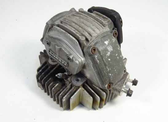 Cilinderkop Ducati monster 600