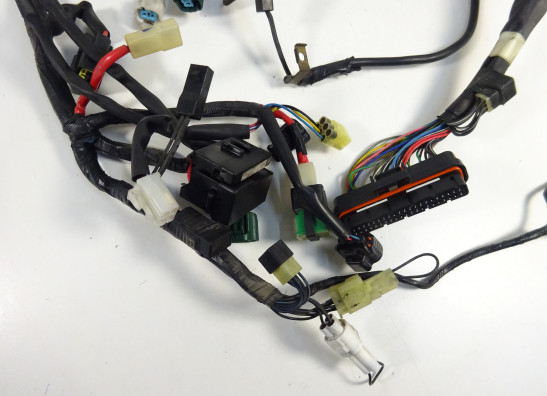 Wire Harness Yamaha TDM