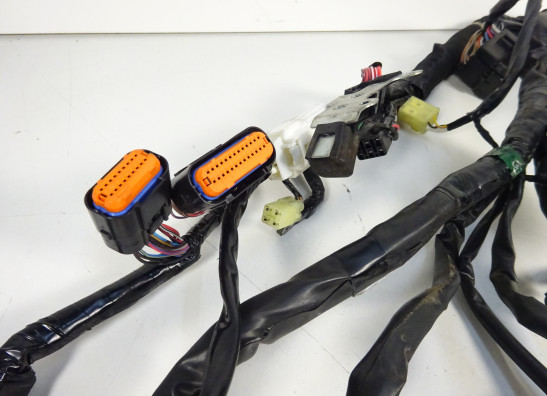 Kabelboom Kawasaki VERSYS 650