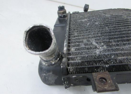 Radiator Suzuki GSX R 1300 Hayabusa