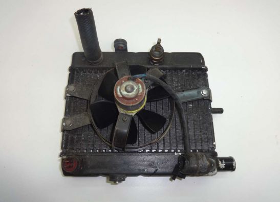 Kuhler Yamaha YP 250 Majesty