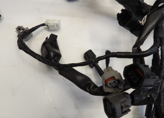 Kabelboom Kawasaki 650 Vulcan S