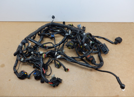 Kabelboom Moto Guzzi Norge