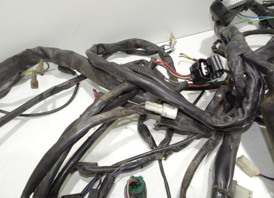 Wire Harness Aprilia RSV 1000