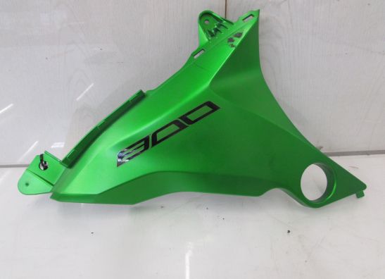 Rechter zijkuip klein Kawasaki Z 800