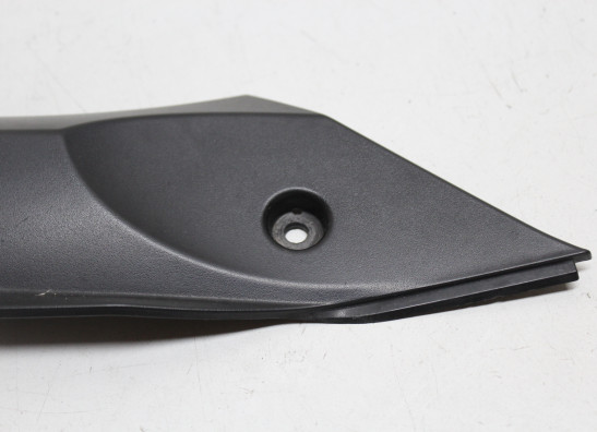 Linker binnenkuip Triumph Daytona 675 