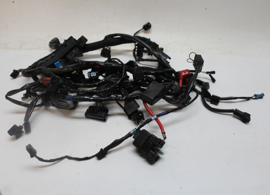 Kabelboom Triumph Daytona 675 