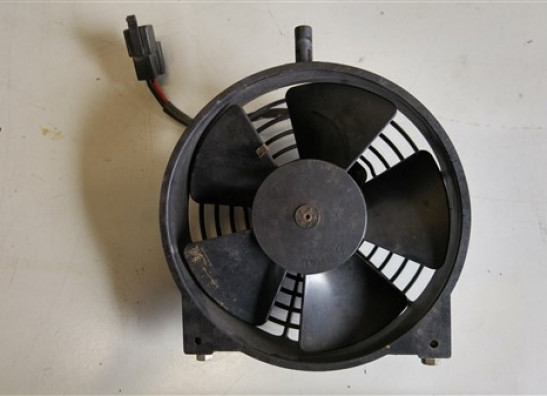 Fan Aprilia RSV 1000