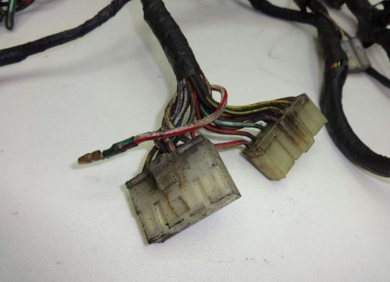 Kabelboom Kawasaki GTR 1000