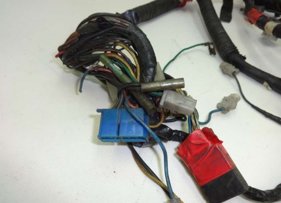 Wire Harness Yamaha FZ 750
