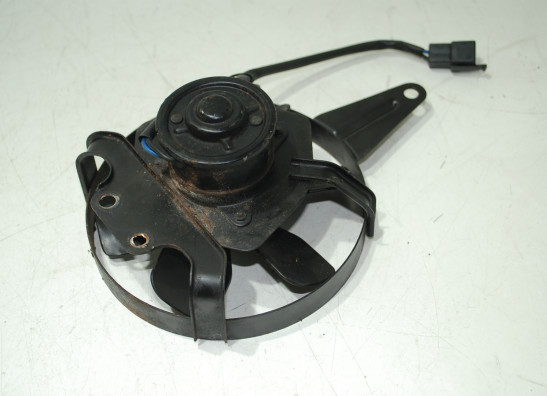 Fan Yamaha GTS 1000
