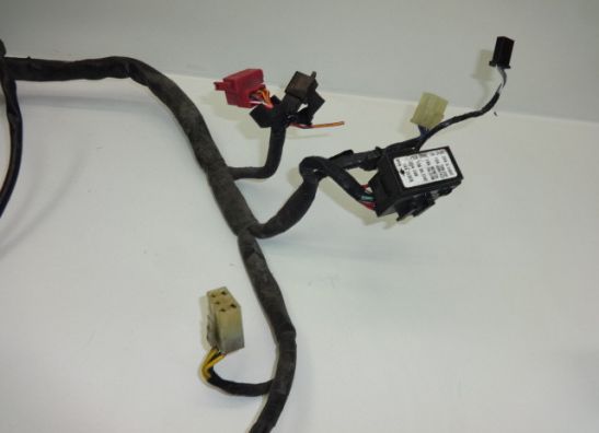 Wire Harness Honda CBR 1100 XX