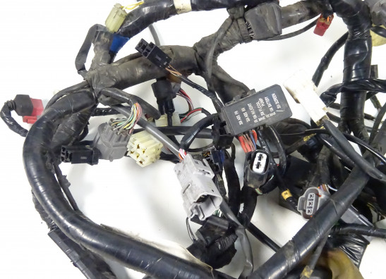 Wire Harness Honda ST 1300 Pan European