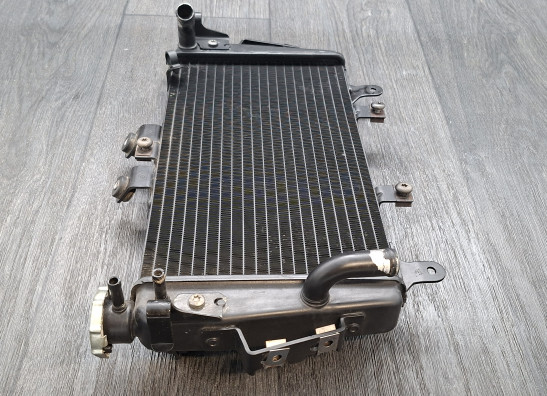 Radiator Triumph Tiger 1050