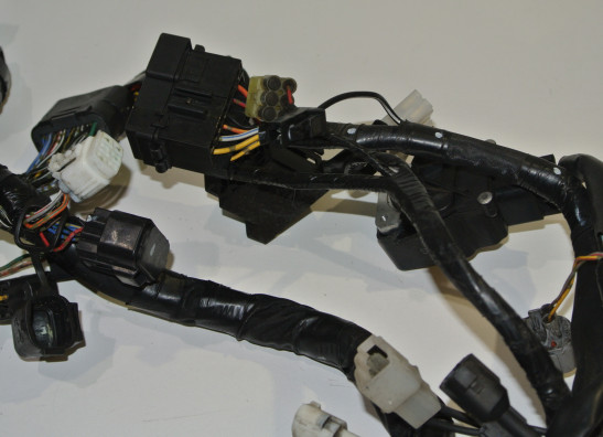 Kabelboom Suzuki GSR 600