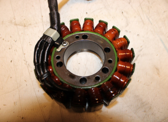 Dynamo Kawasaki ER 6