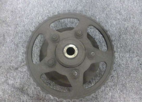 Kettenrad-Trager Triumph Tiger 900