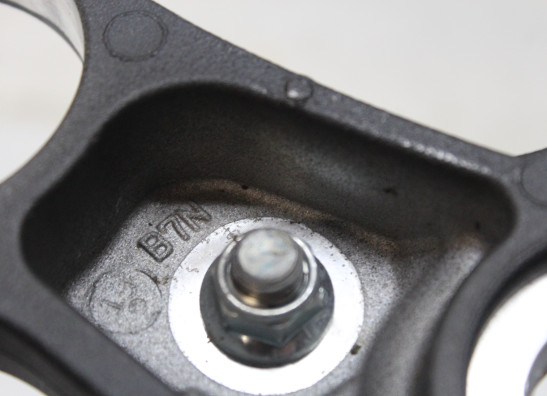 Kroonplaat Yamaha MT 09