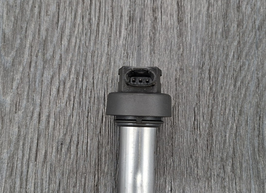 Bobine BMW F 800 S - ST