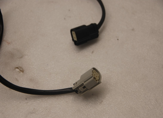 Uitlaat Harley Davidson Softtail