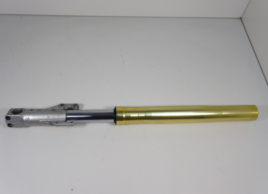 Voorpoot links compleet Ducati Monster 750