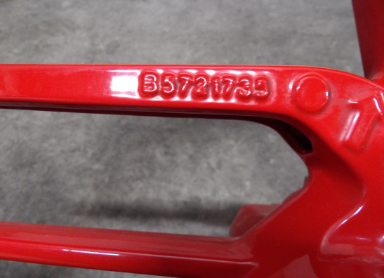 Voorvelg Ducati Monster 797