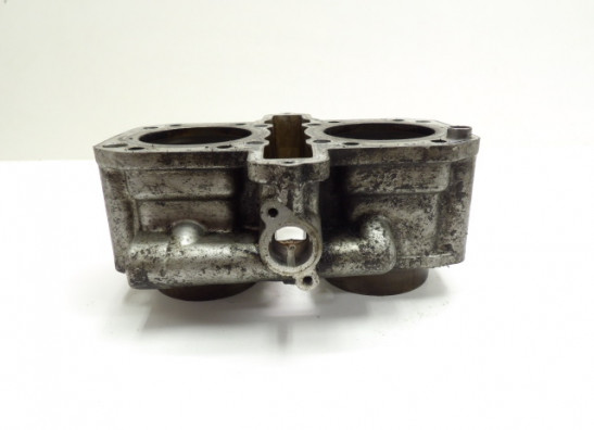 Cilinderblok Kawasaki EN 500 Vulcan