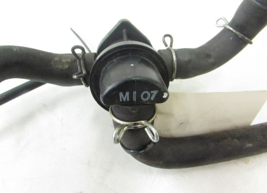 Sonstiges Honda CBR 600 F