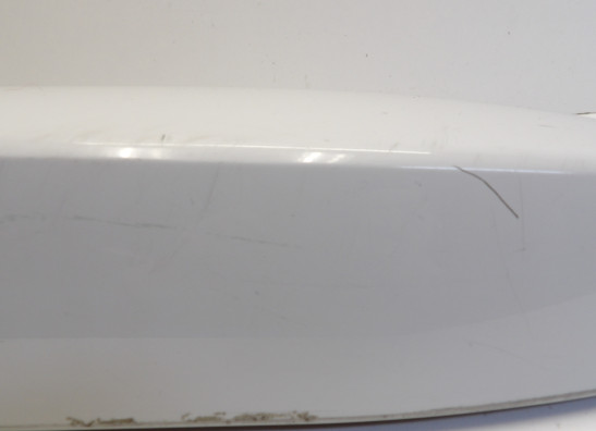 Saddlebag cover left BMW R 1200 RT