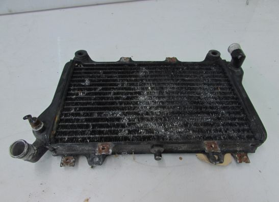 Radiator Kawasaki GPX 750