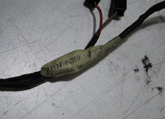 Wire harness front Yamaha GTS 1000