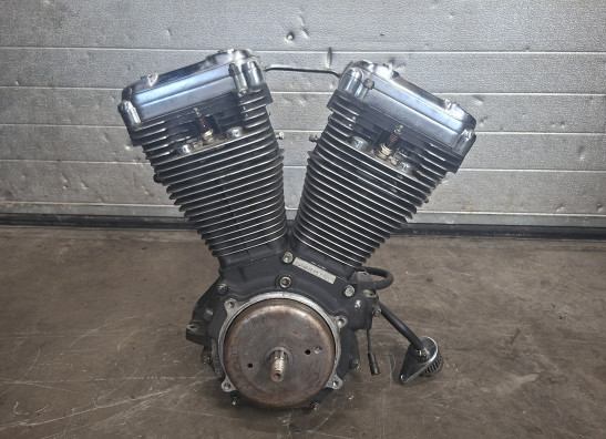 Motorblok Harley Davidson Softtail