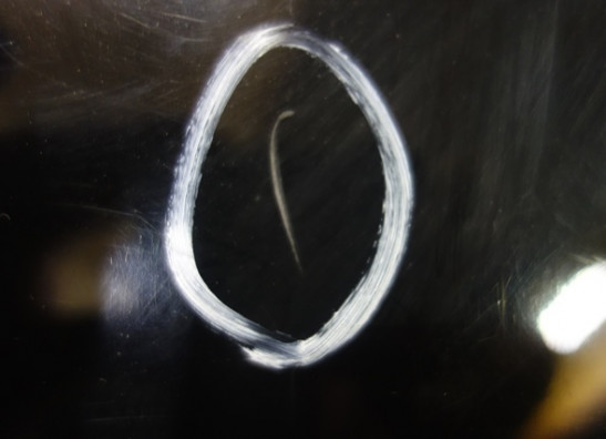 Fuel tank Honda CBR 1100 XX