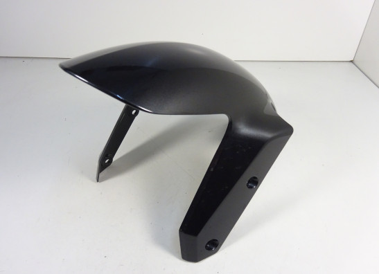 Voorspatbord BMW R 1200 R