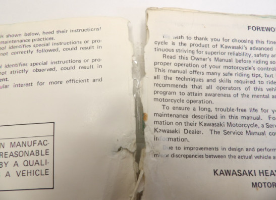 Manuel Kawasaki KLR 250